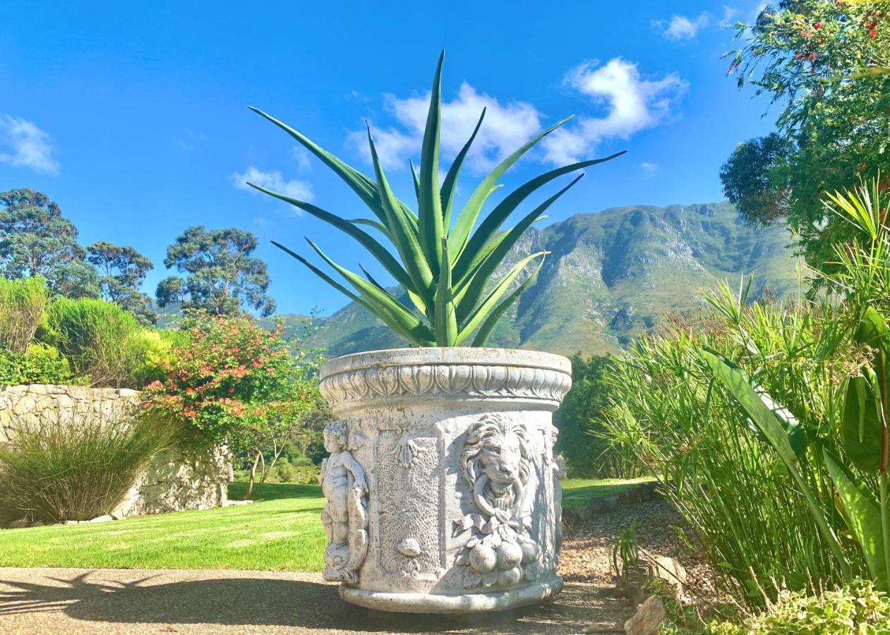 The Guardian Hermanus Luxury Self-Catering Hemel En Aarde Valley Exterior photo
